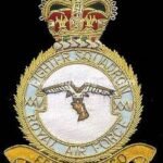 Squadron Blazer Badges