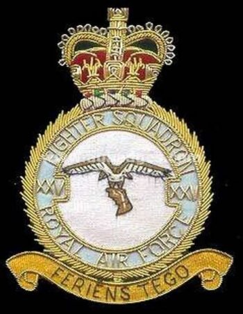 Squadron Blazer Badges