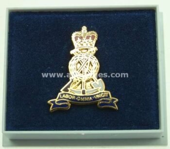 LAPEL PINS