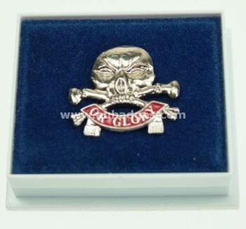 LAPEL PINS