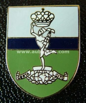 LAPEL PINS