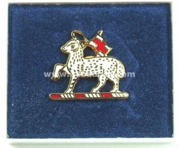 LAPEL PINS