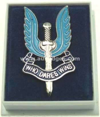 LAPEL PINS