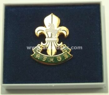 LAPEL PINS