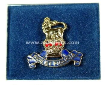 LAPEL PINS
