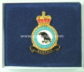 LAPEL PINS