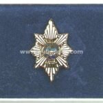 Lapel-pins-241.jpg