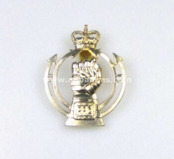 LAPEL PINS