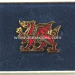 Lapel-pins-245.jpg