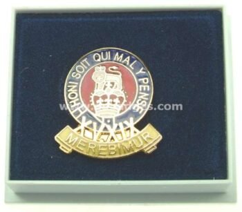 LAPEL PINS