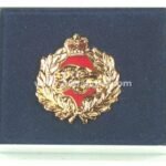 LAPEL PINS