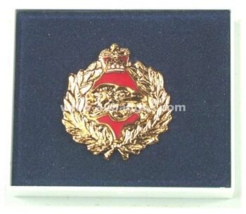 LAPEL PINS