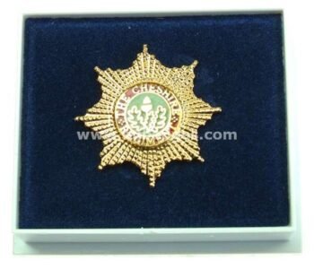 LAPEL PINS