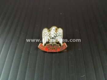 LAPEL PINS