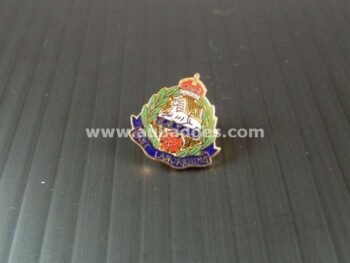 LAPEL PINS