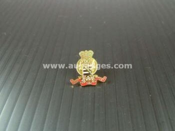 LAPEL PINS