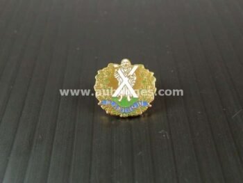 LAPEL PINS