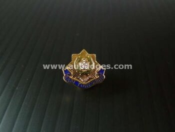 LAPEL PINS