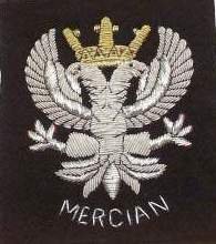 Regalia Blazer Badges