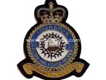 Squadron Blazer Badges