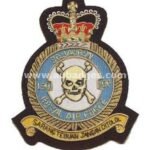 Squadron Blazer Badges