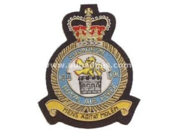 Squadron Blazer Badges