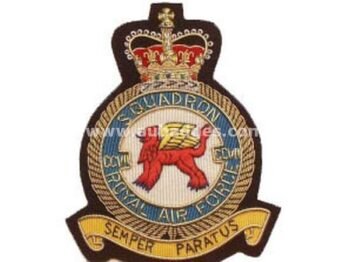 Squadron Blazer Badges