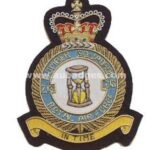 RAF-218-Bomber-Sqdn-blazer-badge.jpg