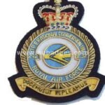 Squadron Blazer Badges