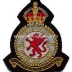 Squadron Blazer Badges