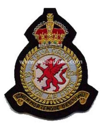 Squadron Blazer Badges