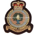 RAF-Cosford-handmade-wire-blazer-badge.jpg