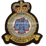 RAF-Flying-Training-Command-handmade-wire-blazer-badge.jpg