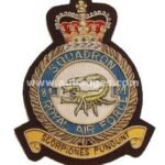 Squadron Blazer Badges
