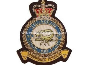 Squadron Blazer Badges