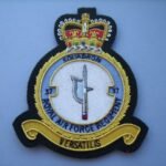 RAF-Regiment-37-Squadron-Blazer-Badge.jpg