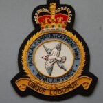 RAF-Tactical-Communications-Wing-Blazer-Badge.jpg