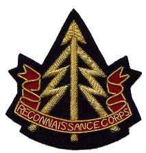 Regalia Blazer Badges