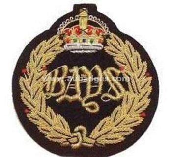 Regalia Blazer Badges