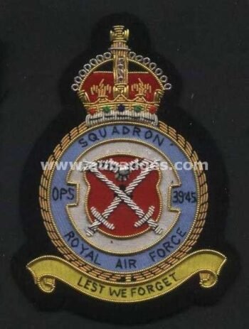 Squadron Blazer Badges