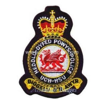 Squadron Blazer Badges