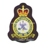 Squadron Blazer Badges