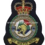 Squadron Blazer Badges