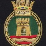 cardiff-1.jpg