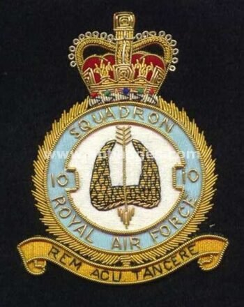 Squadron Blazer Badges