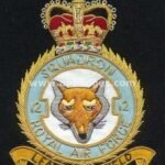 Squadron Blazer Badges