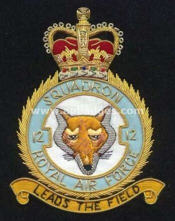 Squadron Blazer Badges