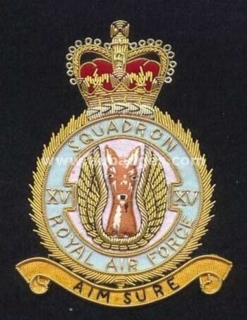 Squadron Blazer Badges