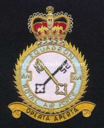 Squadron Blazer Badges
