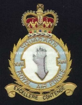 Squadron Blazer Badges